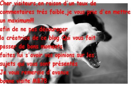 Chers visiteurs