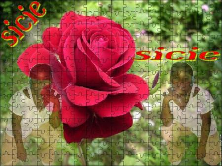 Sicie